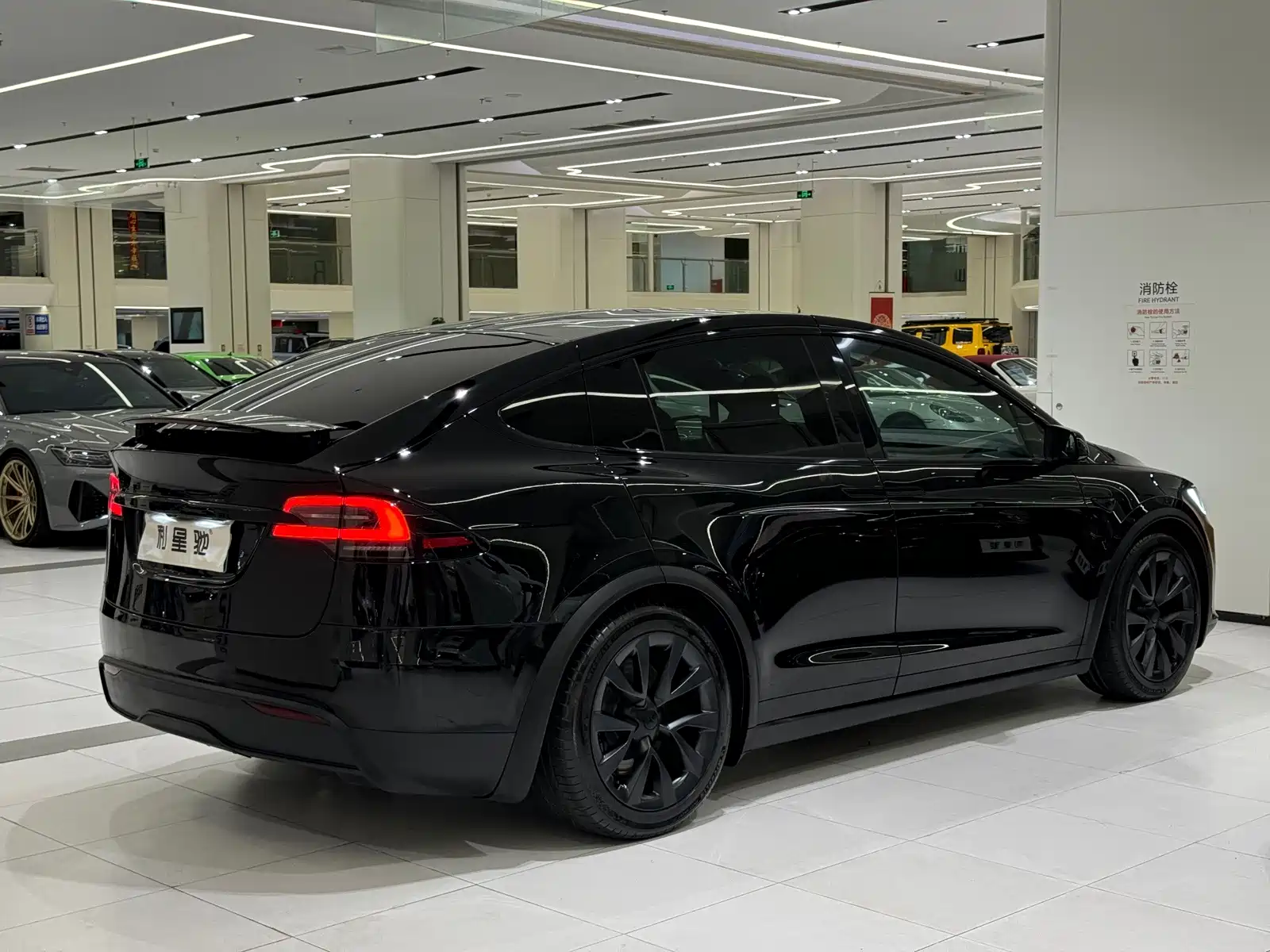 Фото 25 - Tesla Model X