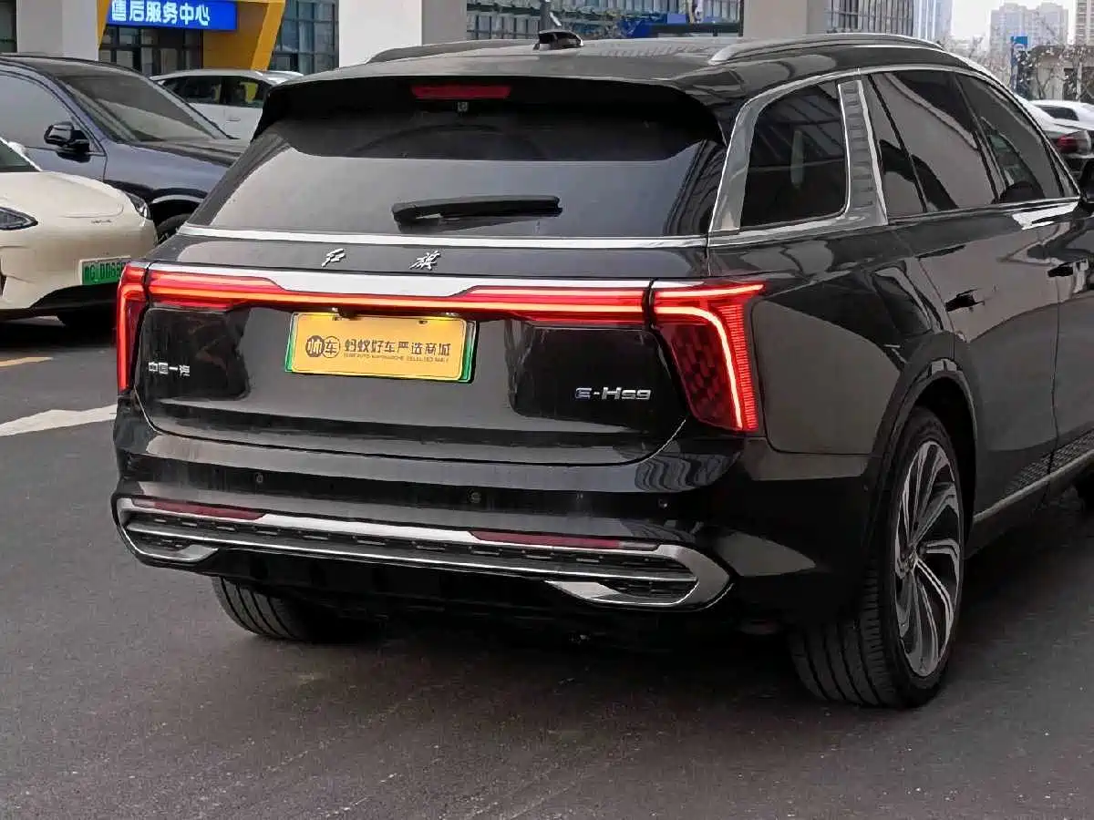 Hongqi E-HS9 2022 660km Qi Ling Edition (4-seater) фото 10