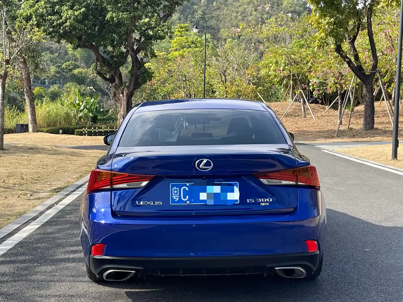 Lexus IS 2017 300 F SPORT фото 8