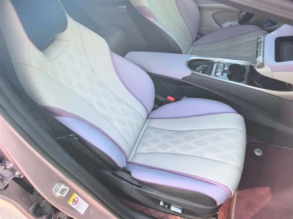 BYD Dolphin 2023 420km Fashion Edition фото 20