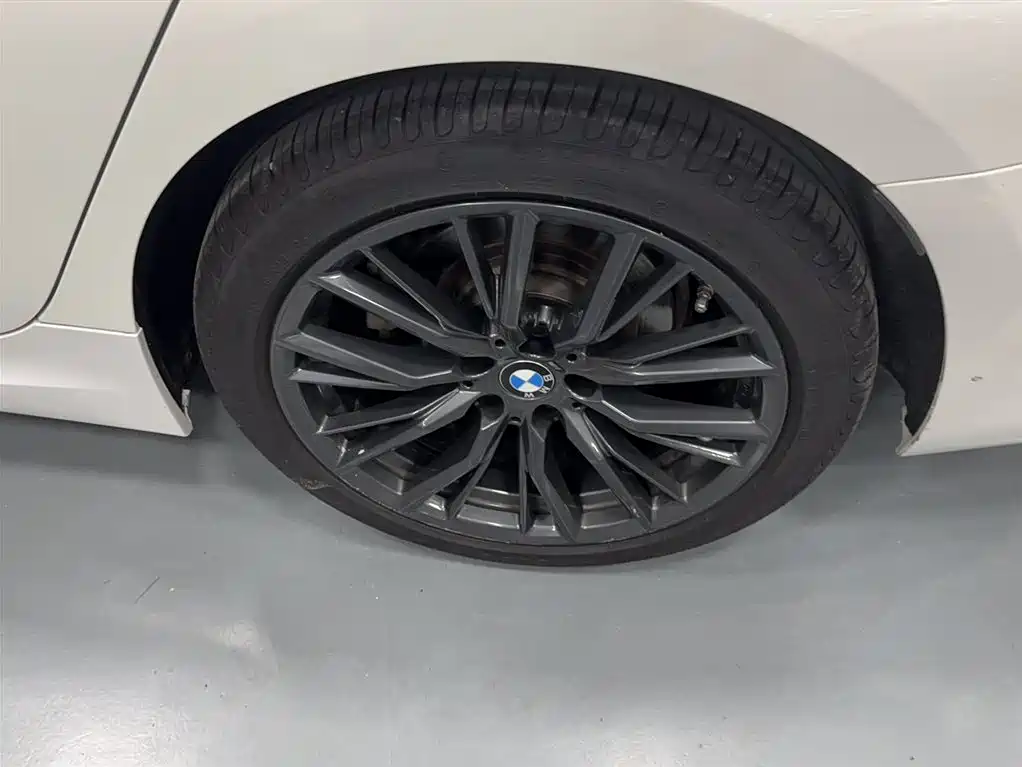 BMW 3 Series 2021 Second Facelift 325Li M Sport Night Package фото 9
