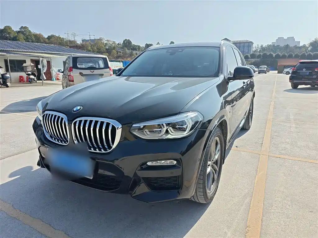 BMW X3 2018 xDrive30i Leading M Sport Package China VI фото 2