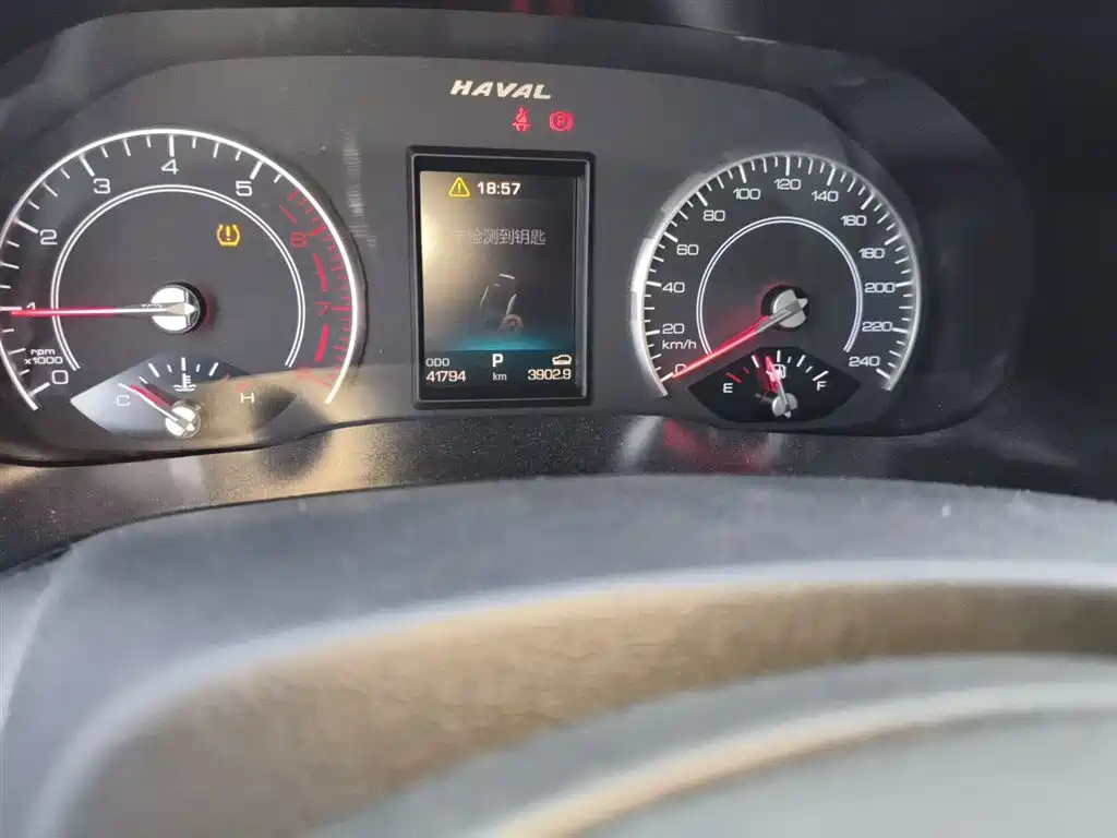 Haval H4 2019 1.5GDIT DCT Elite Smart Connection China VI фото 9