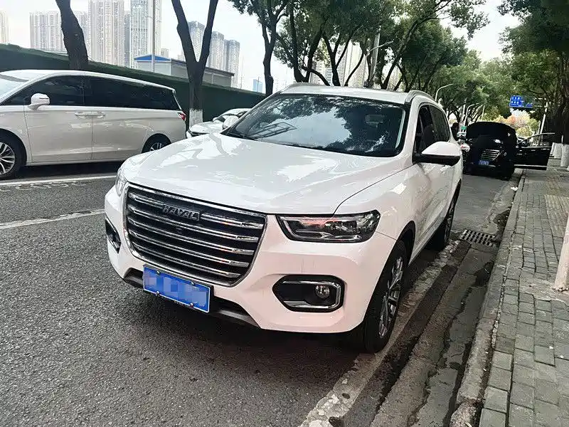Фото 1 - Haval H6