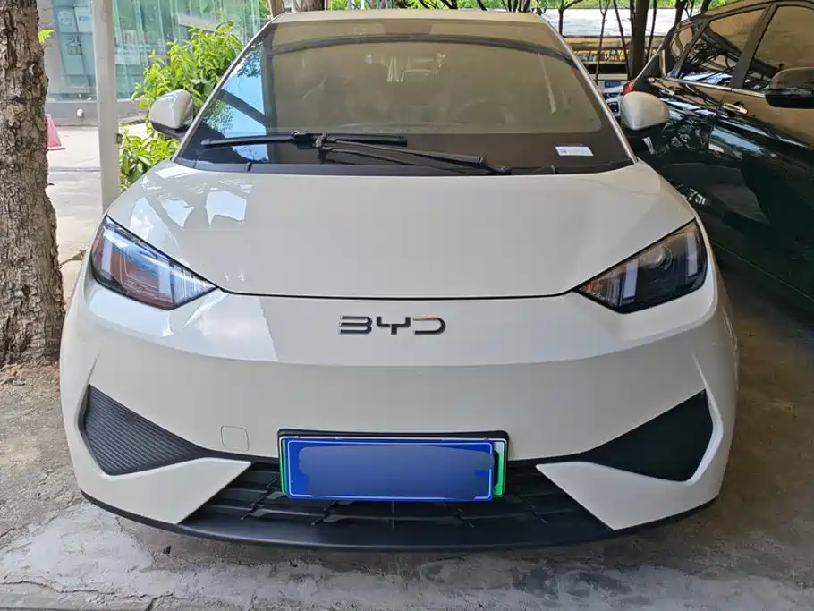 BYD Seagull 2026 2025 305km Vitality