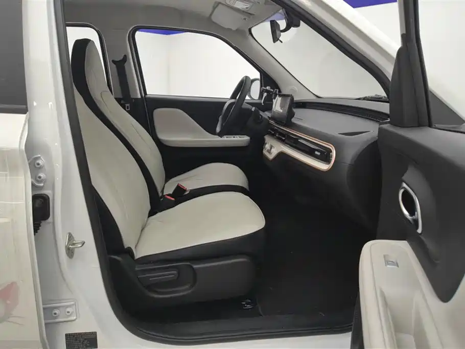 QQ New Energy Duomi 2026 2025 305km Comfort Edition