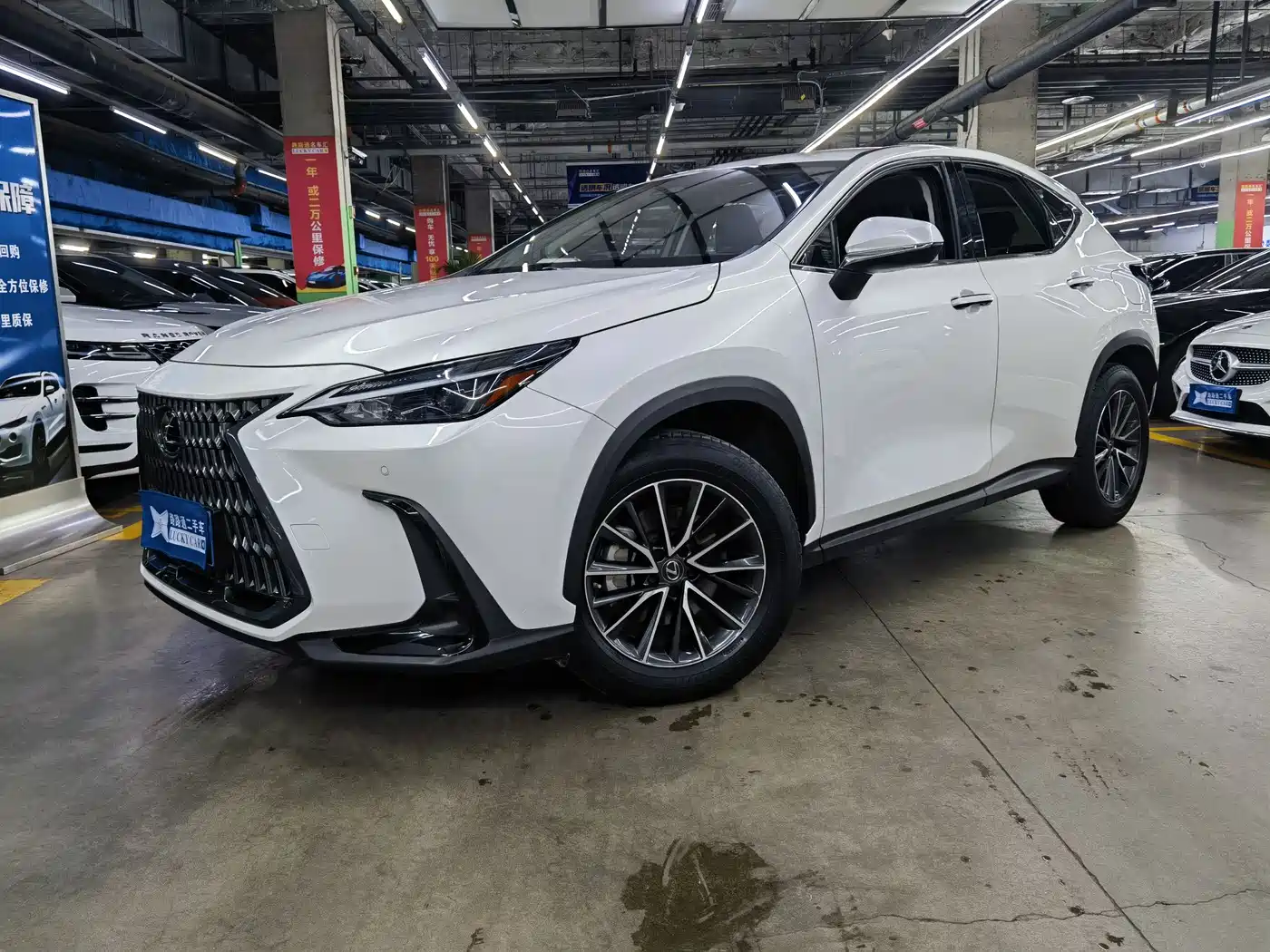 LEXUS NX