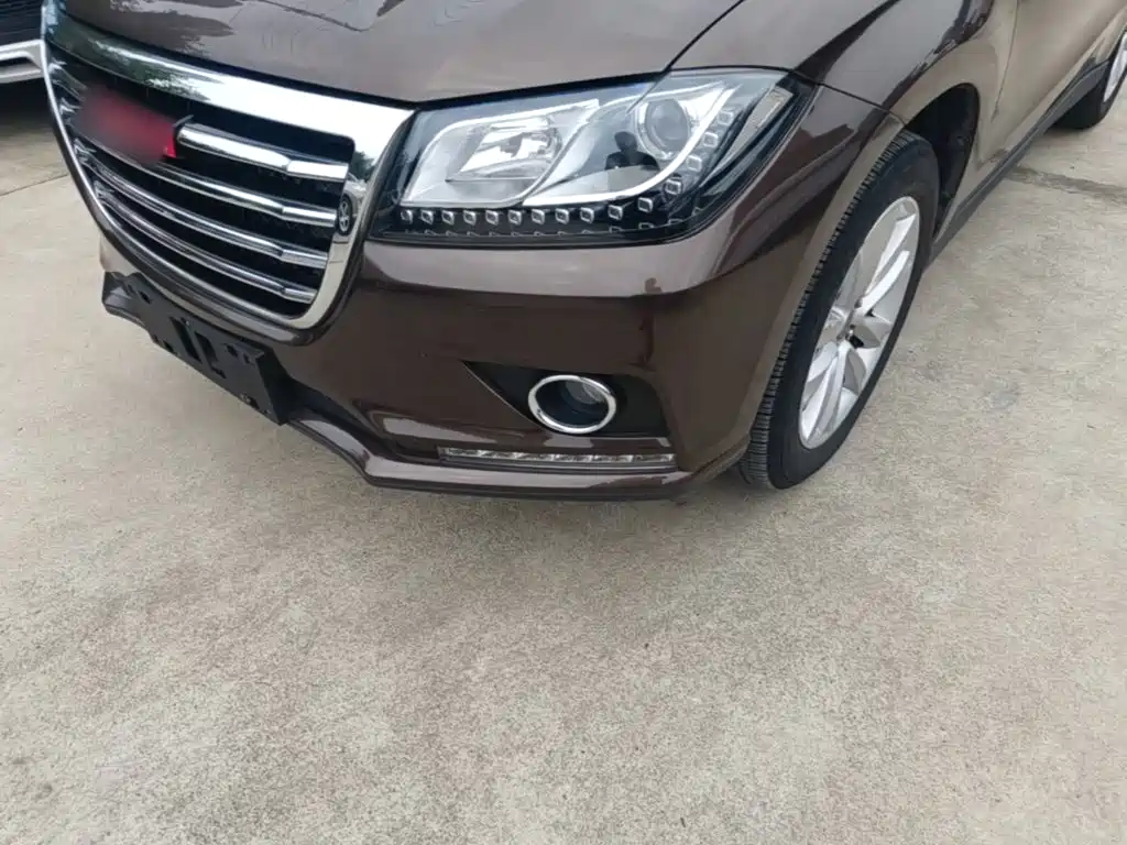 Фото 24 - Haval H2