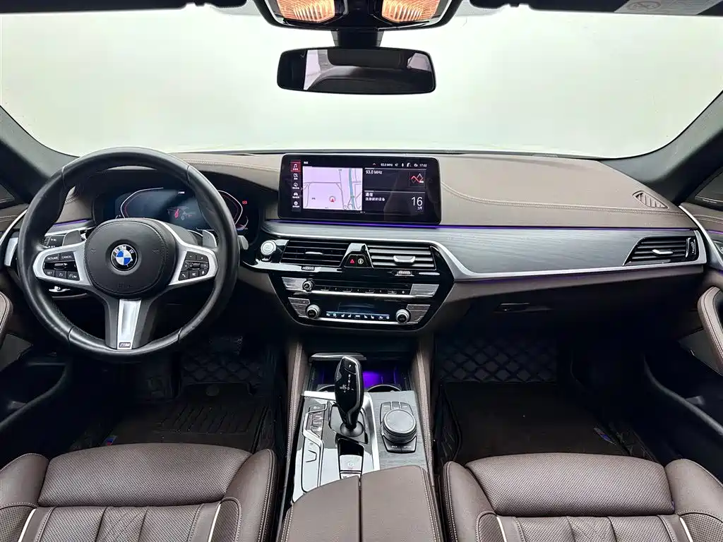 BMW 5 Series 2021 530Li Premium M Sport Package фото 10