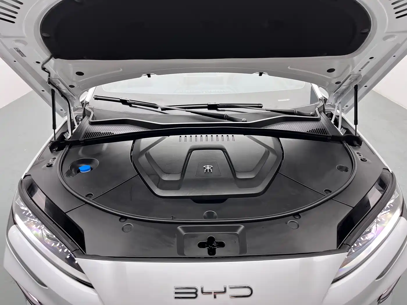 BYD SONGJIANG NEW ENERGY