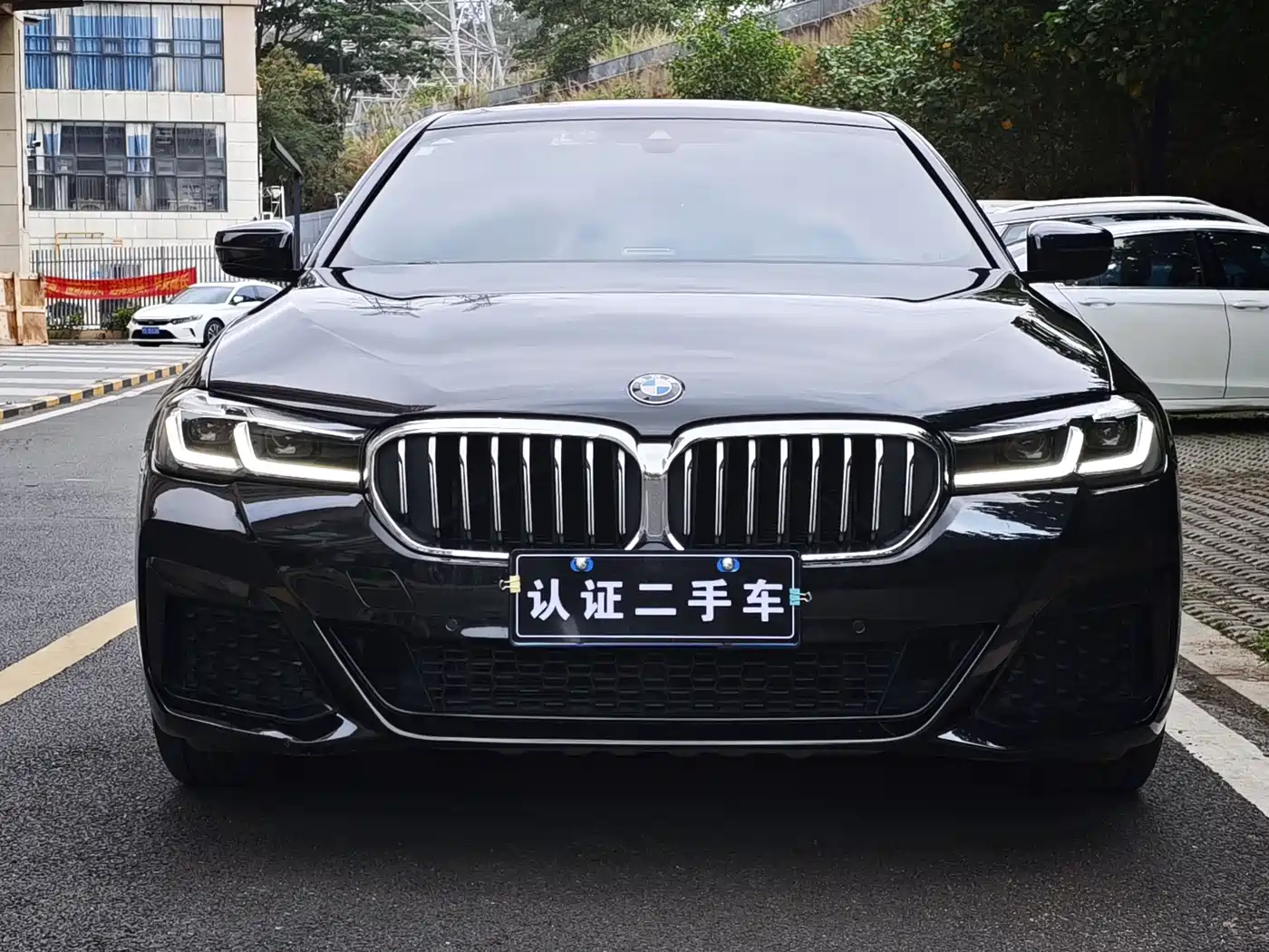BMW 5 Series 2021 530Li Leading Luxury Package фото 2