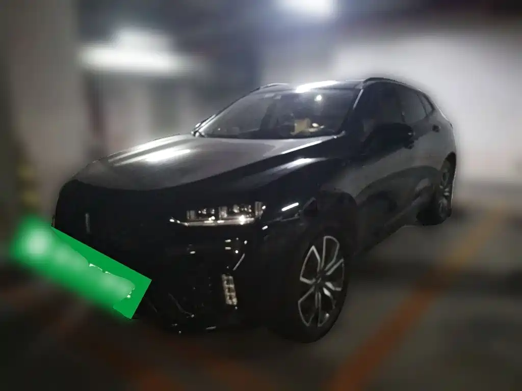 WEY VV7 2018 2017 2.0T Flagship