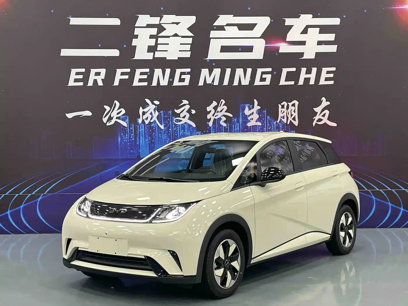 BYD Dolphin 2025 2025 420km Freedom Edition