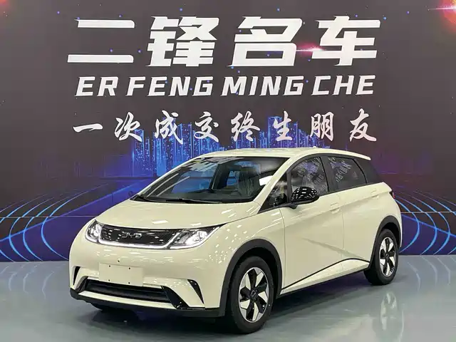 BYD Dolphin 420km, Свобода
