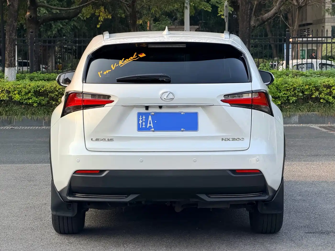 LEXUS NX
