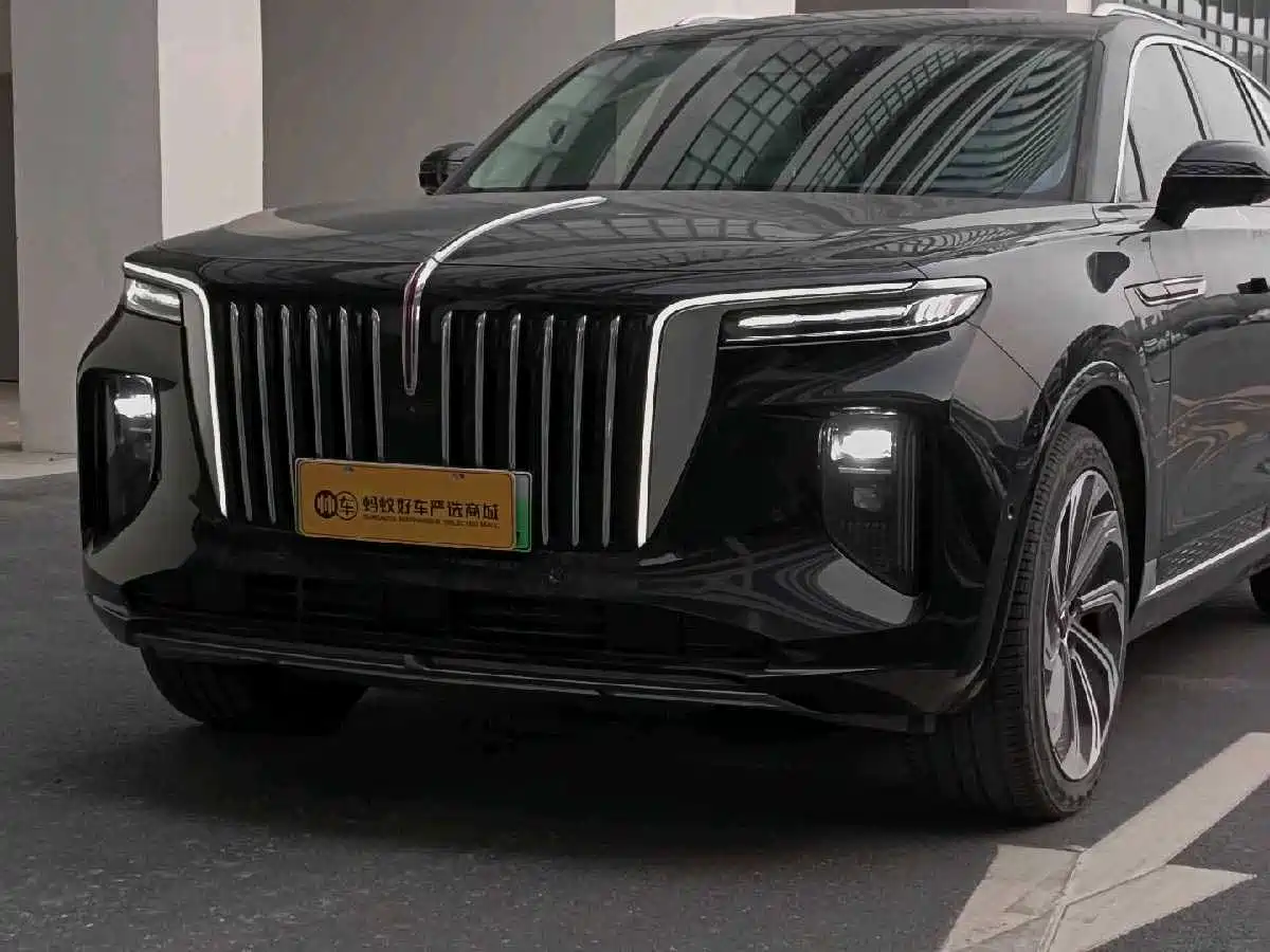 Hongqi E-HS9 2022 660km Qi Ling Edition (4-seater) фото 7