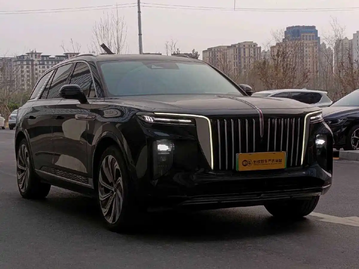 Hongqi E-HS9 2022 660km Qi Ling Edition (4-seater) фото 3