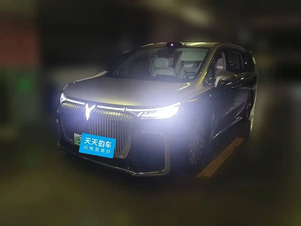 Voyah Auto Voyah Dreamer