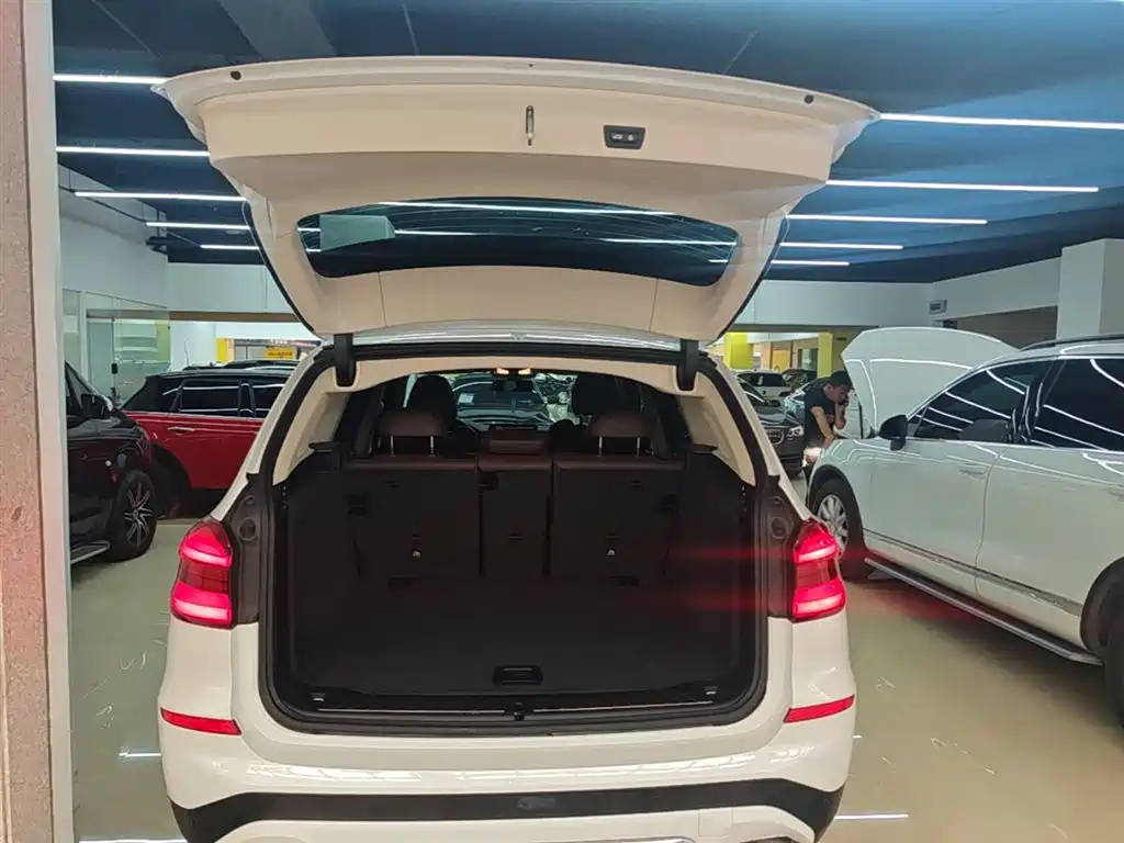 BMW X3 2020 xDrive28i Luxury Package фото 19
