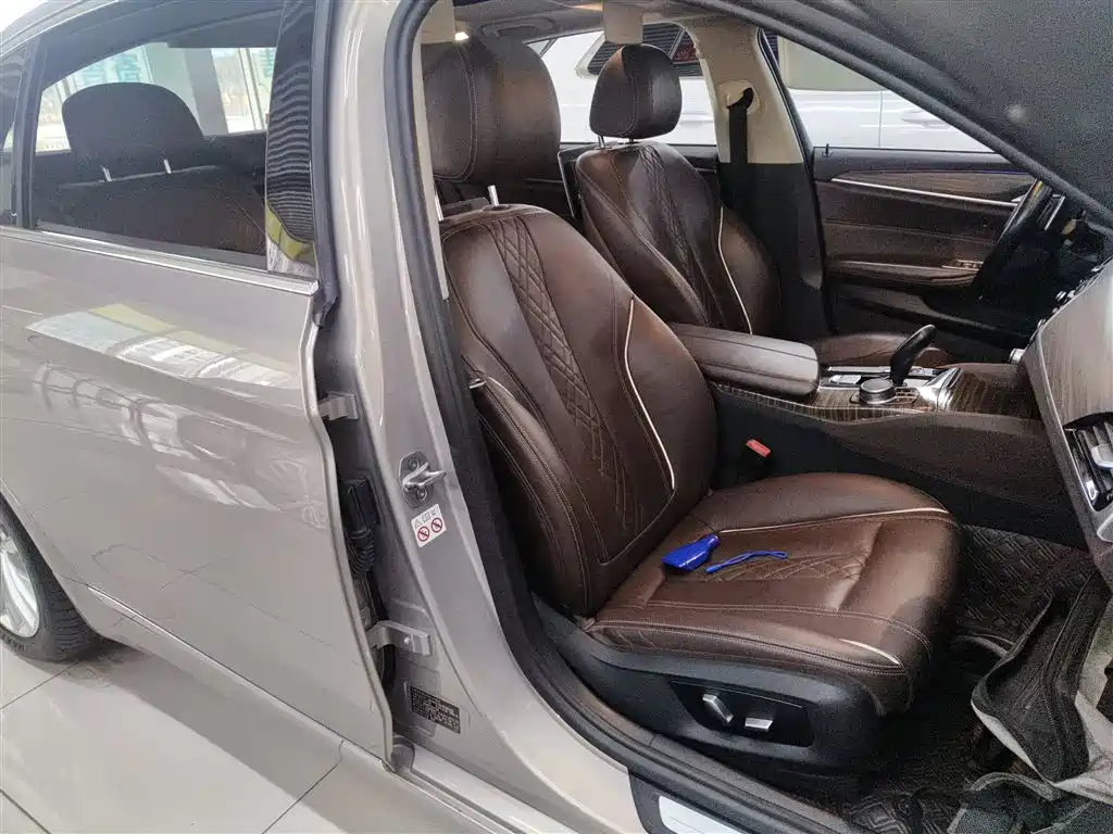 BMW 5 Series 2018 530Li Leading Luxury Package фото 24
