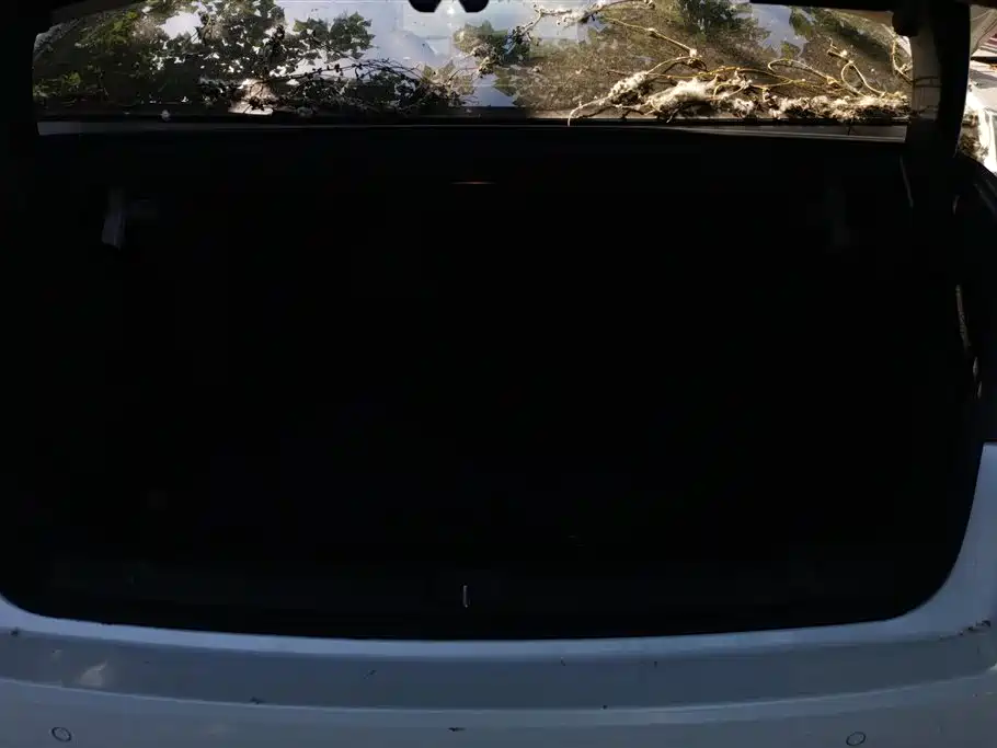 BYD Qin Pro New Energy 2019 EV Super Edition High Power Long Range Smart Connected Pioneer Type фото 4