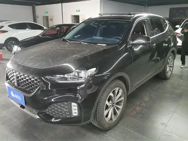 WEI PAI WEI BRAND VV6