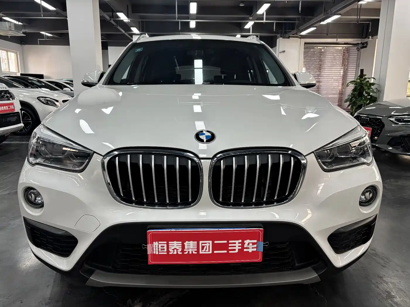 BMW X1 2019 sDrive20Li Leading Model фото 2