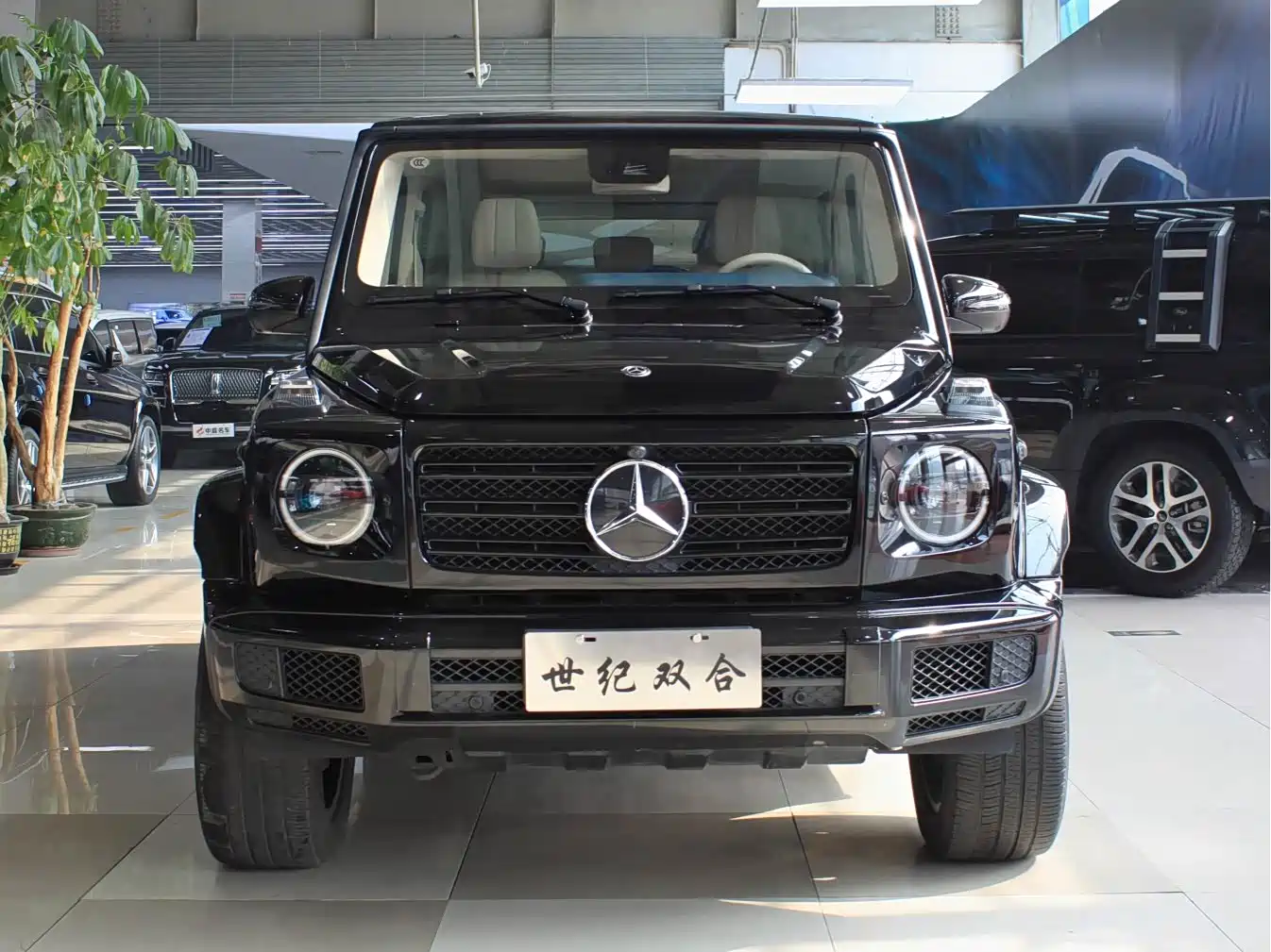 Mercedes-Benz G-Class 2020 G 500 Time Inscription Special Edition фото 2