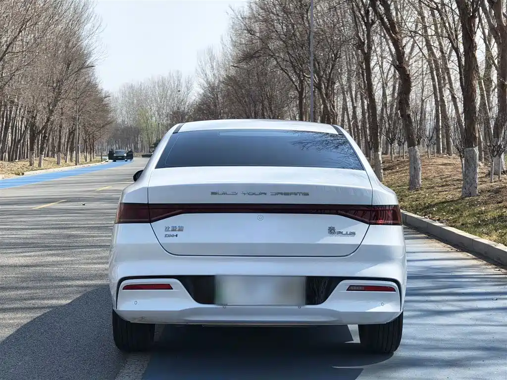 BYD Qin PLUS 2024 Glory Edition DM-i 55KM Leading фото 22