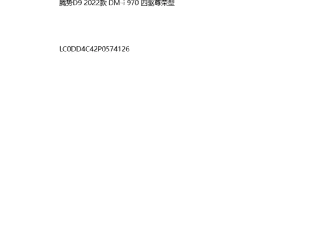 Denza D9 2022 DM-i 970 All-Wheel Drive Honor Edition фото 30