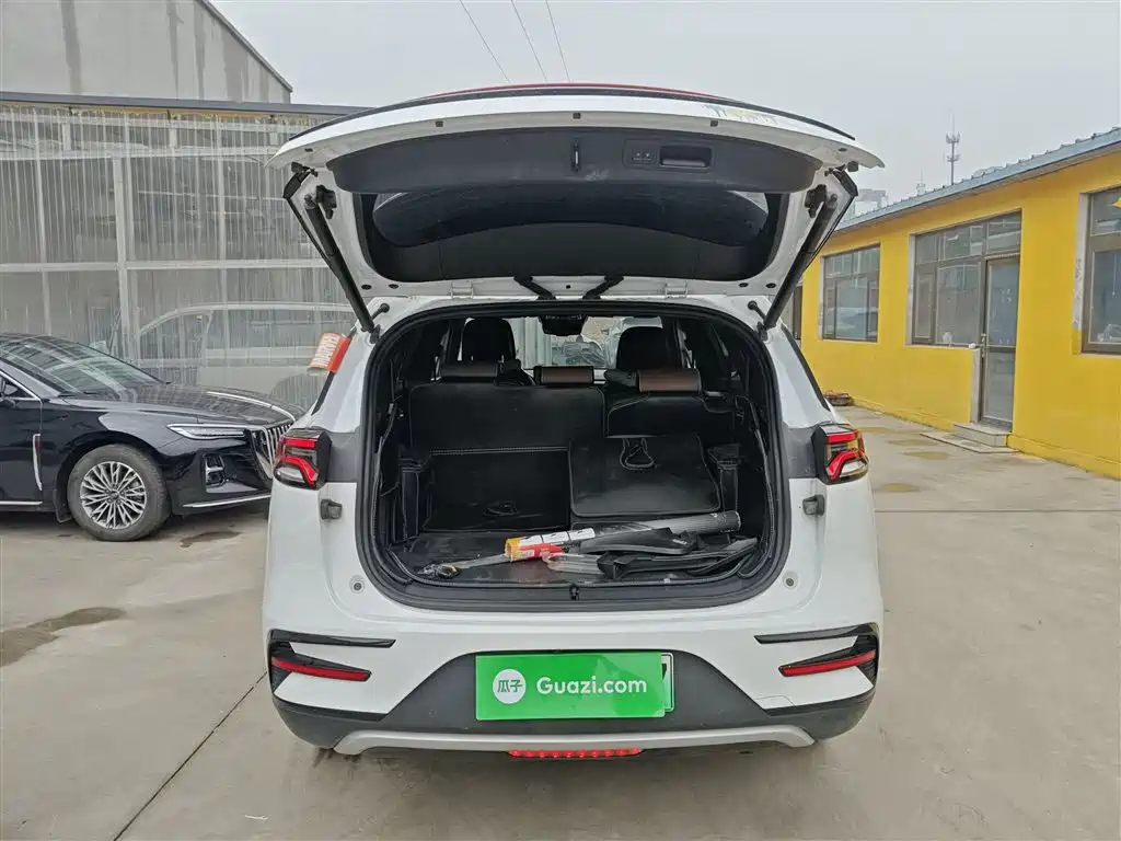 BYD Tang New Energy 2021 DM-i 112KM Honor фото 15