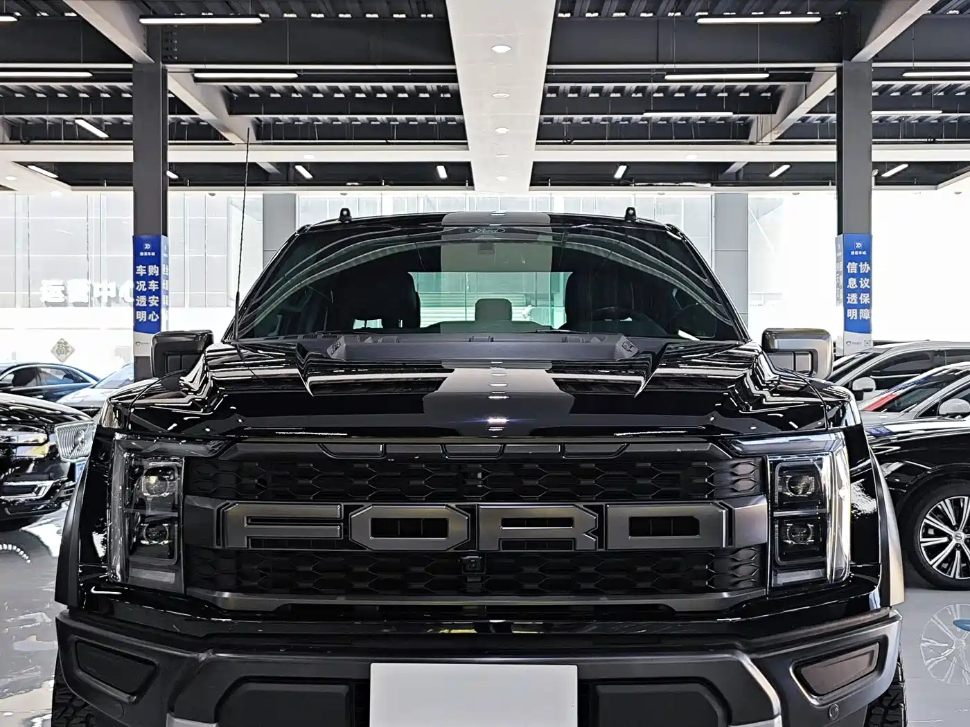 FORD F 150 RAPTOR