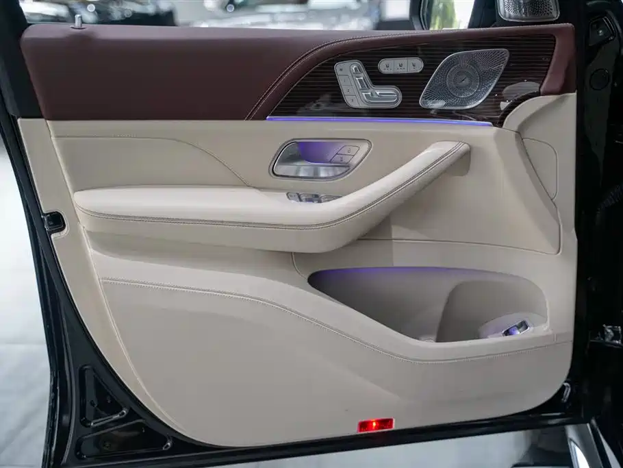 Mercedes-Benz Maybach GLS 2021 GLS 600 4MATIC Ritual Edition фото 10