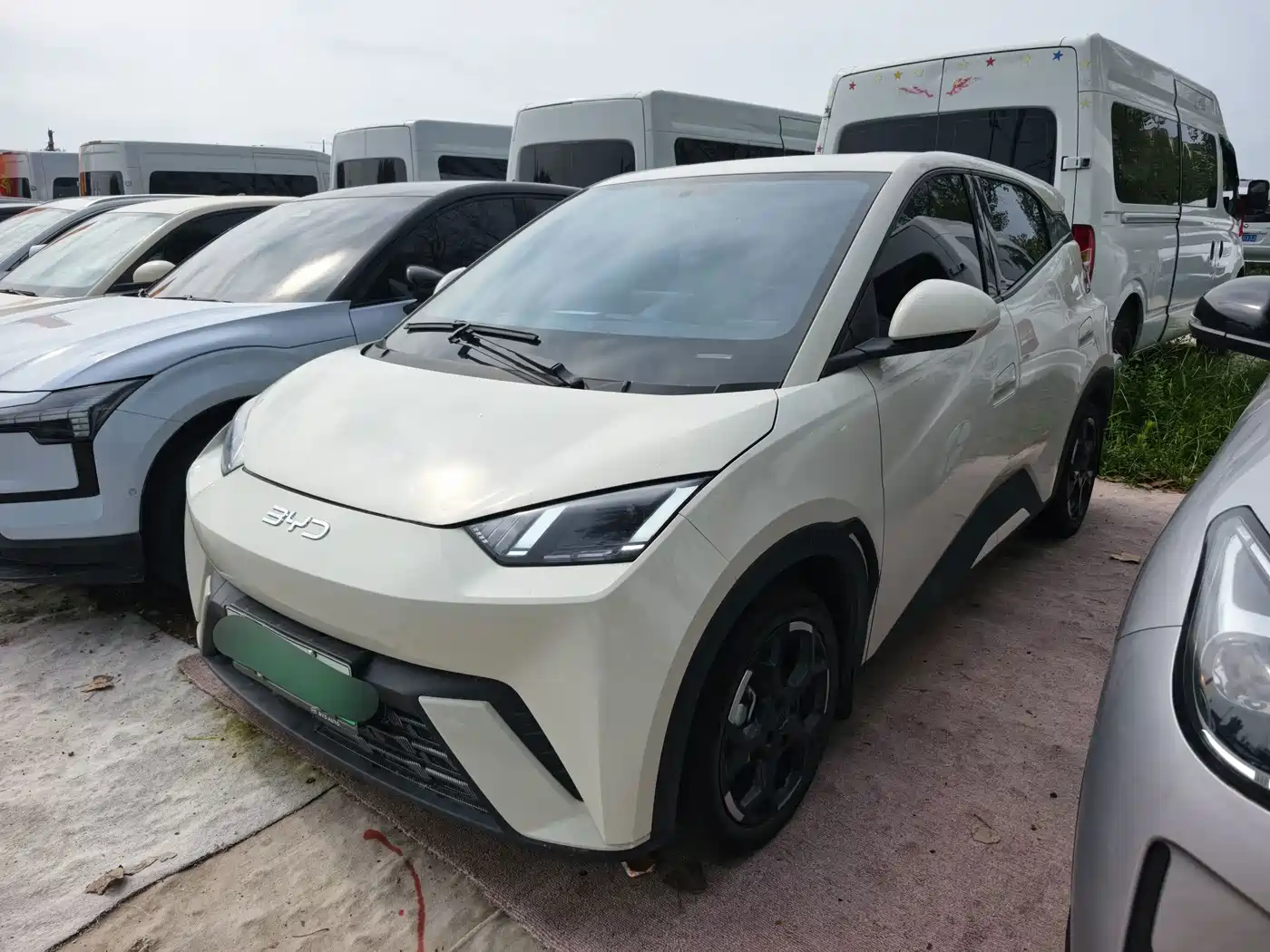 BYD Seagull 2025 305km Freedom