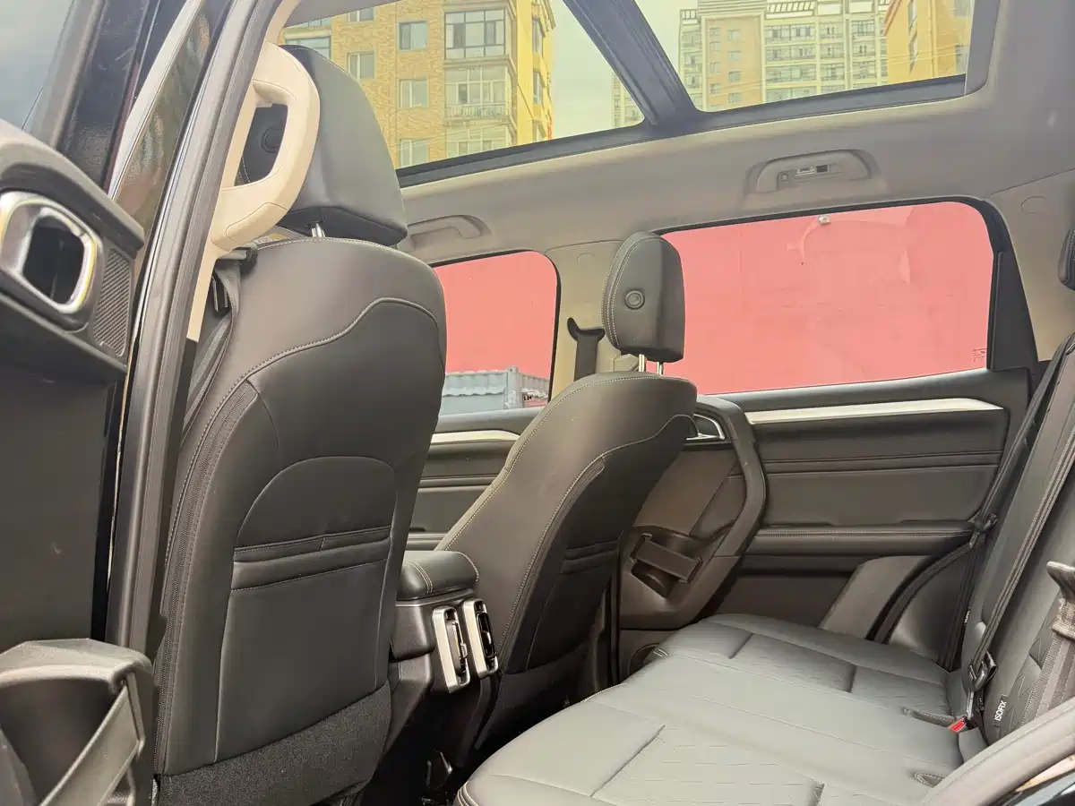 Haval Big Dog 2022 2.0T DCT 4WD Chinese Rural Dog Hunting Edition фото 6