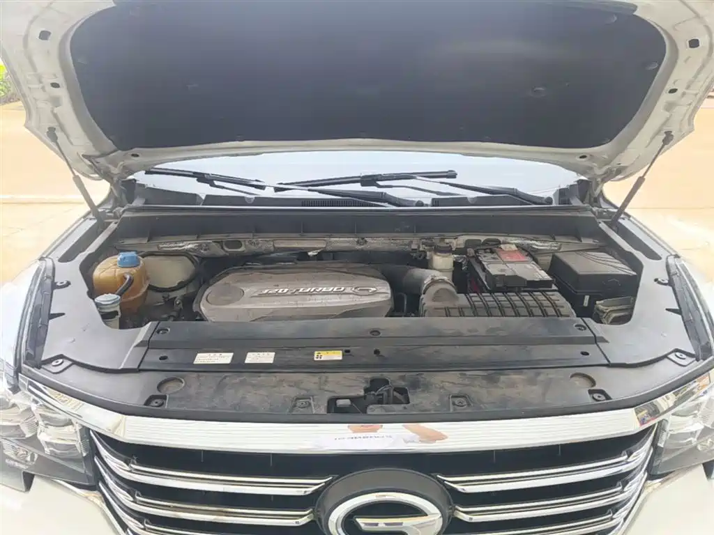 GAC Trumpchi Trumpchi GS8 2017 320T 2WD Luxury Smart Connect (7-seater) фото 20