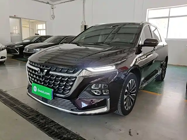  Wuling Motors Wuling Victory 2023 2.0L DHT Luxury Edition