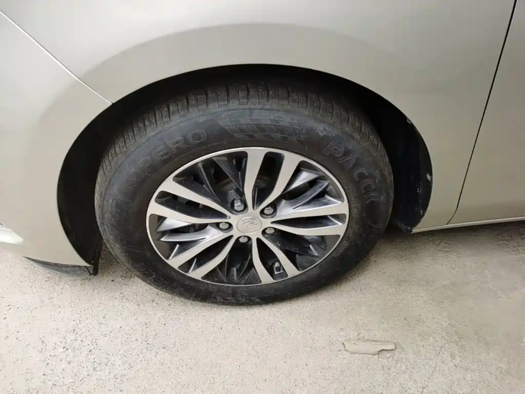 صورة 23 - Buick GL8
