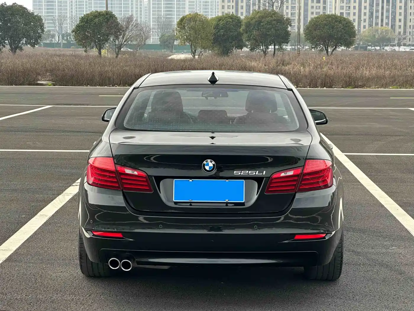 BMW 5 Series 2017 525Li Leading Edition фото 5