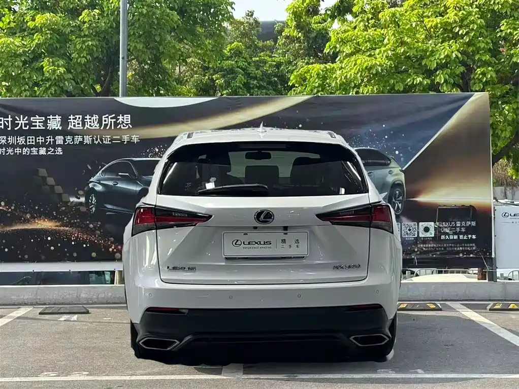 LEXUS NX