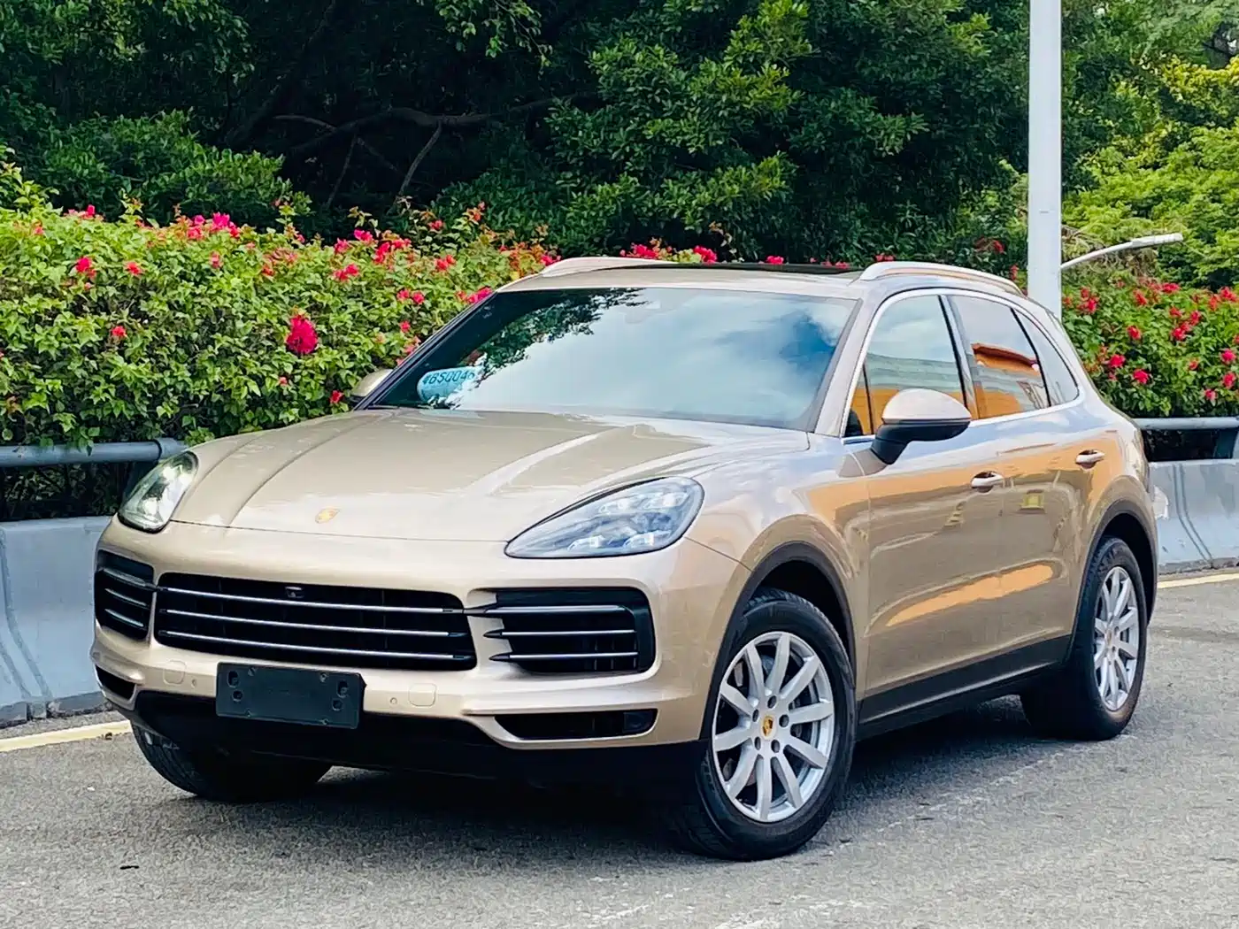 Porsche Cayenne 2018 Cayenne 3.0T фото 2