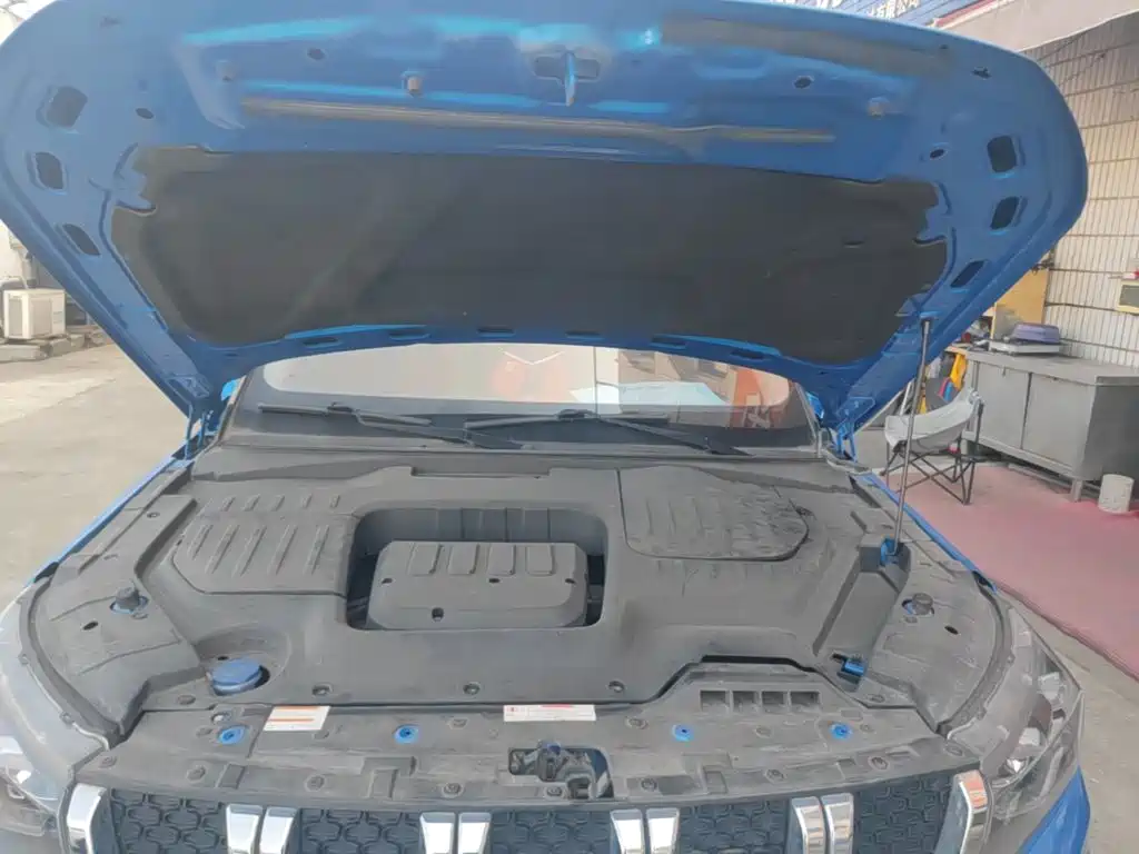 Фото 20 - BAIC ORV Beijing Off-Road BJ30