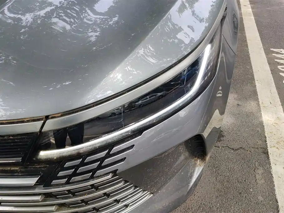 BYD Destroyer 05 2023 Champion Edition DM-i 120KM Premium фото 5