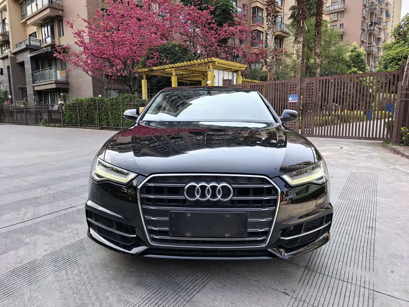 Audi A6L 2018 Model 35 TFSI Collector's Edition