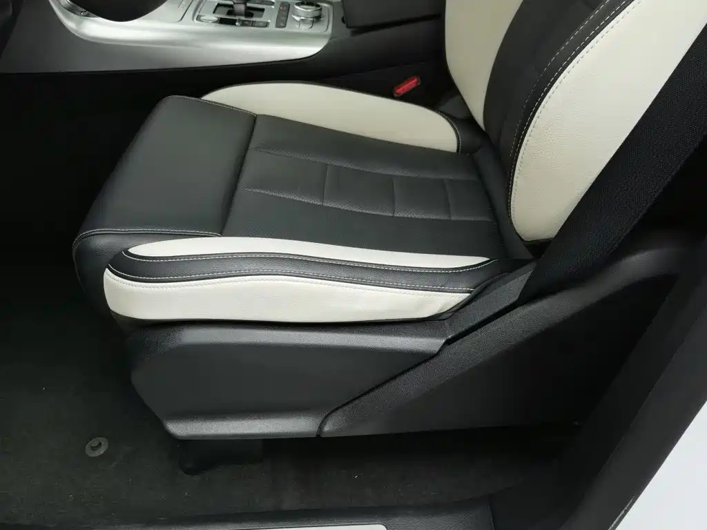 Denza X 2020 2020 PHEV Sport Edition