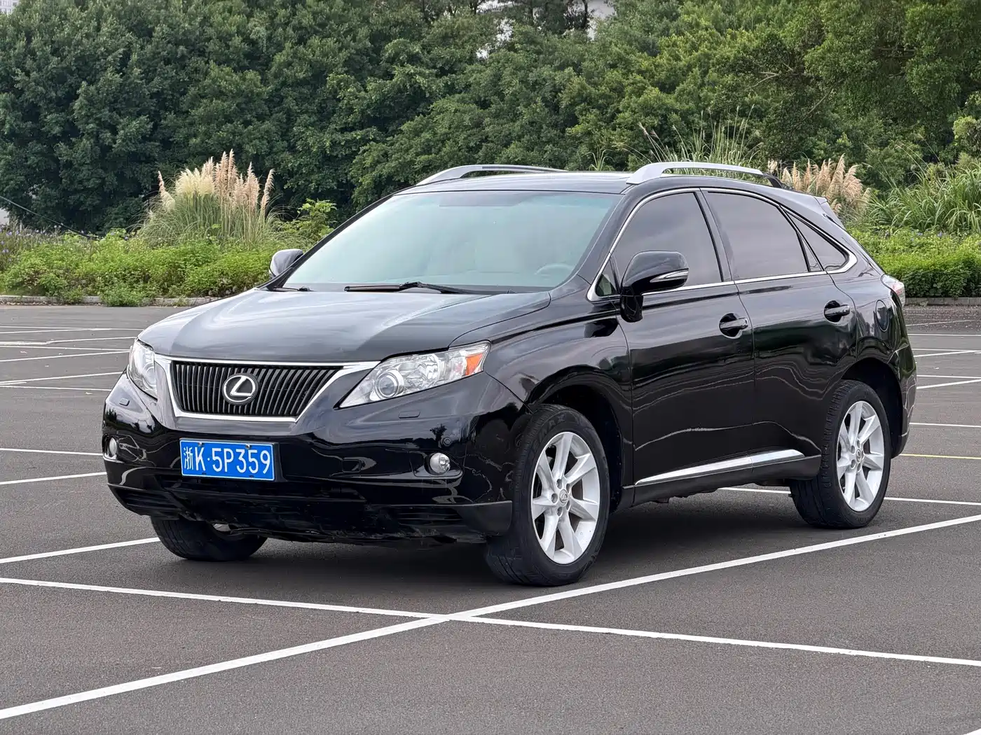 Lexus RX Classic 2010 2010 350 Elegance Edition