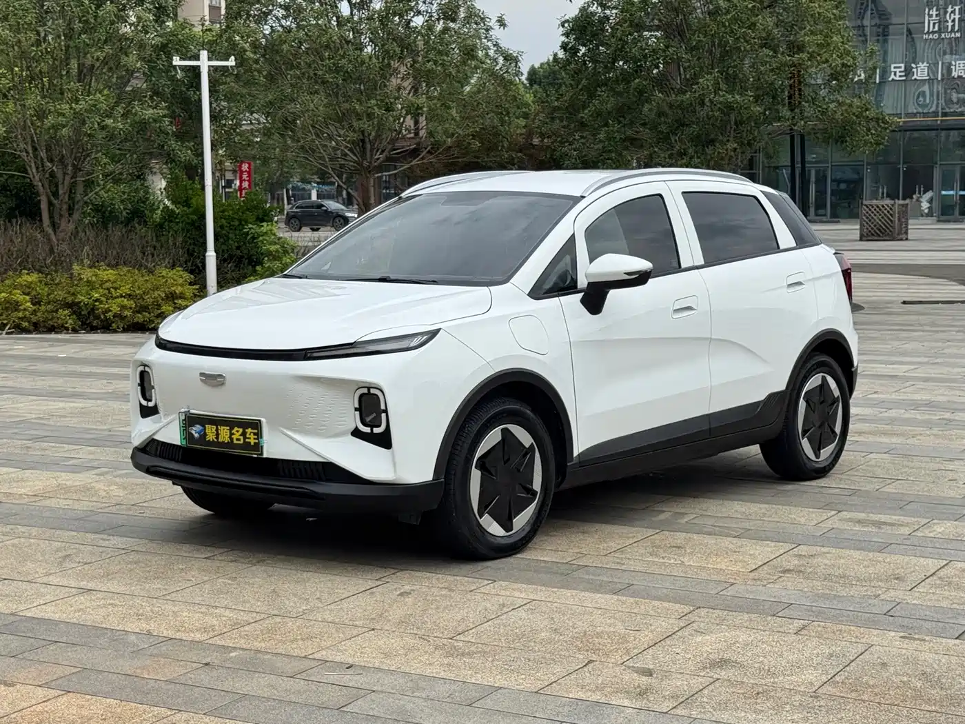 Geely Geometry E Firefly 2024 2024 Model 301km Starlight