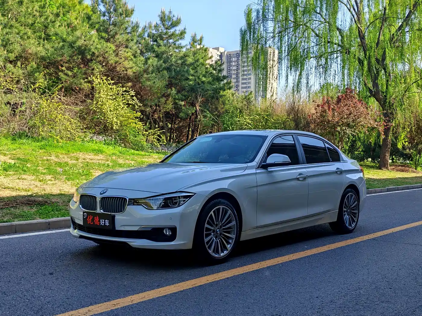 BMW 3 Series 2019 320Li Fashion Type