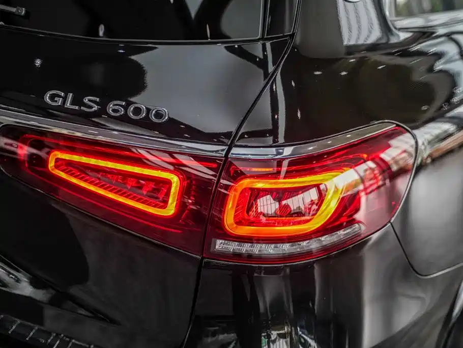 Mercedes-Benz Maybach GLS 2021 GLS 600 4MATIC Ritual Edition фото 19