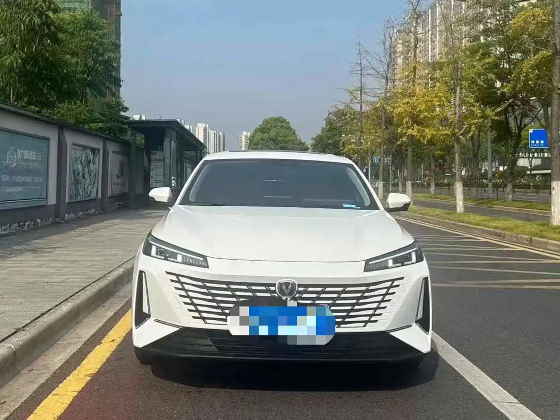 Фото 2 - Changan Eado